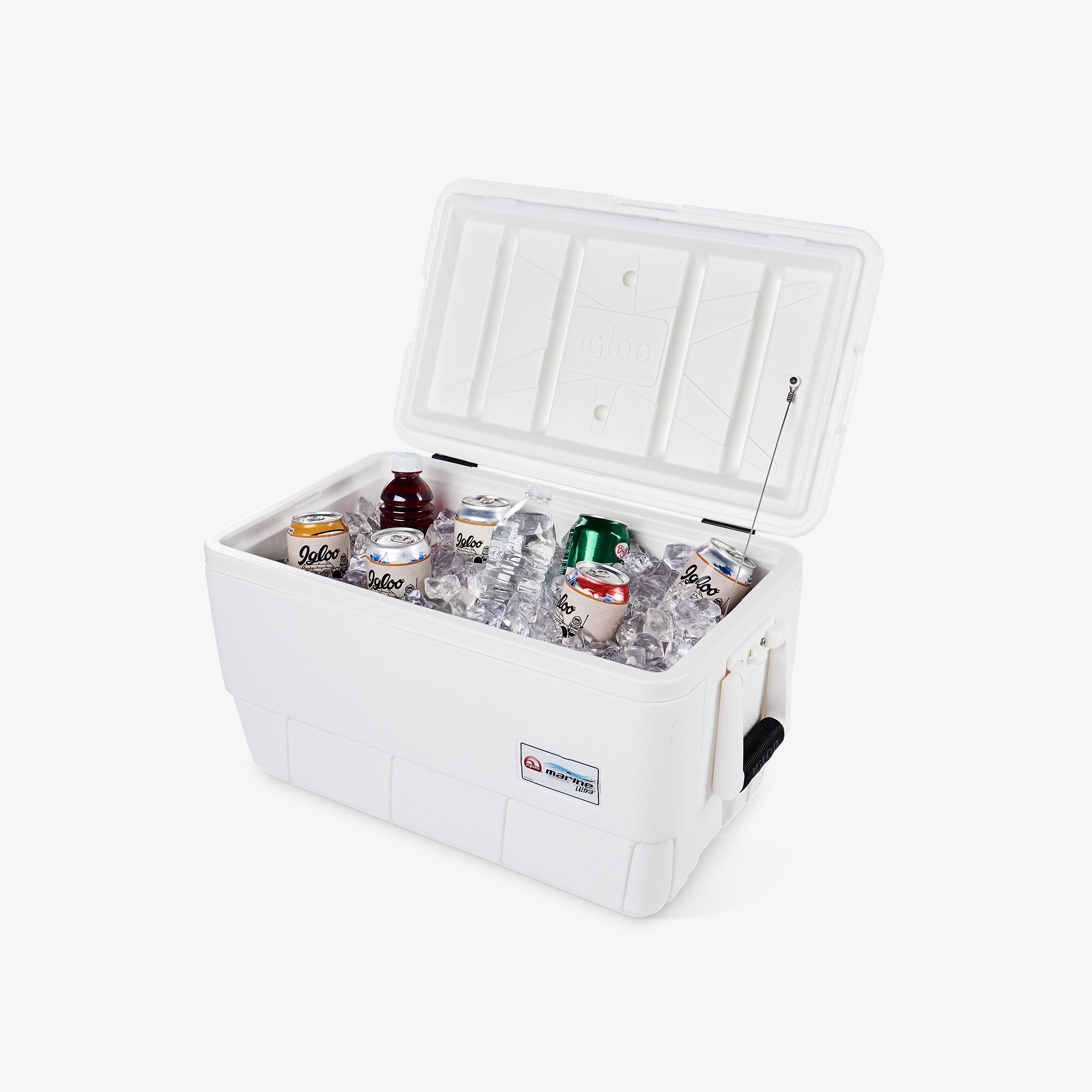 IGLOO Marine Ultra 36 Qt Cooler - The Angry Fish